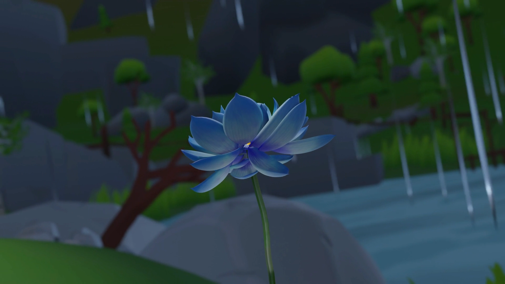 Blooming-Flower-In-The-Rain